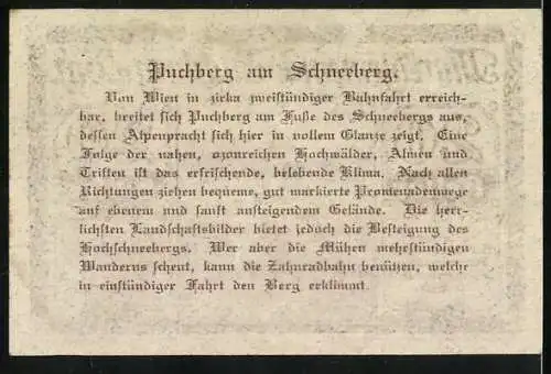 Notgeld Puchberg 1920, 20 Heller, Ortsansicht mit Berglandschaft