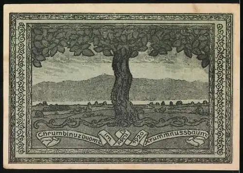 Notgeld Krummnussbaum 1920, 50 Heller, Reiter und Landschaft mit Baumansicht