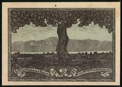 Notgeld Krummnussbaum 1920, 10 Heller, zwei Männer und Landschaft mit Baum und Bergen