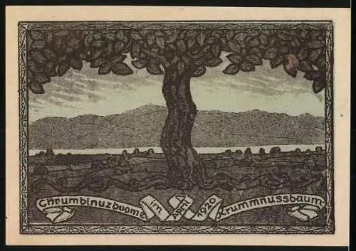 Notgeld Krummnussbaum 1920, 20 Heller, Landschaft mit Baum und Stadtansicht