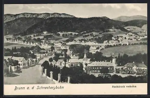 Künstler-AK Brunn a. d. Schneebergbahn, Teilansicht mit Strassenpartie