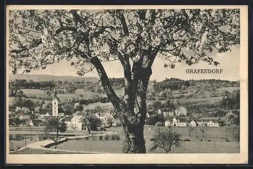 AK Grafendorf, Teilansicht mit Baum