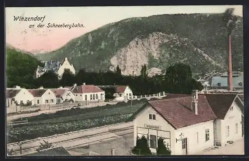 AK Winzendorf an der Schneebergbahn, Partie am Bahnhof