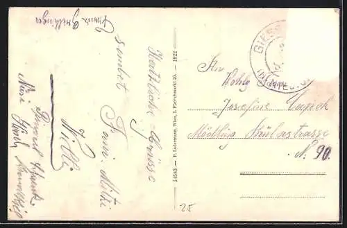 AK Sulz-Stangau, Villa Trebitsch, Wasserheilanstalt