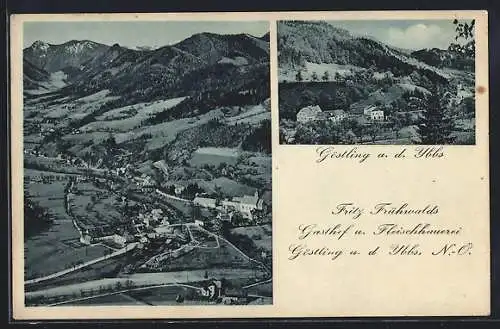 AK Göstling a. d. Ybbs, Teilansicht, Gesamtansicht mit Ybbs und Bergpanorama aus der Vogelschau