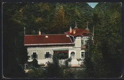 AK Oberbergern, Erholungsheim Waldhof aus der Vogelschau