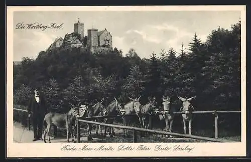 AK Eisenach, Die Wartburg-Esel Frieda, Max, Moritz, Lotte, Peter, Grete und Loreley