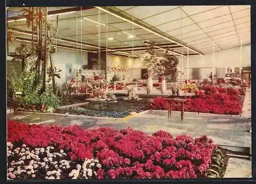 AK Erfurt, 1. Internationale Gartenbauausstellung 1961, Halle XIII- Blumen & Zierpflanzen