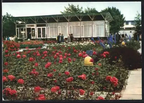 AK Erfurt, Internationale Gartenbauausstellung der DDR, Rosengarten am Pressezentrum