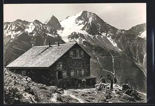 AK Windgällenhütte, Berghütte mit Oberalpstock, Bauern mit Ziegen und Kühen