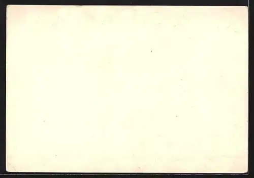 AK Steiermark, Österreicherin in Tracht