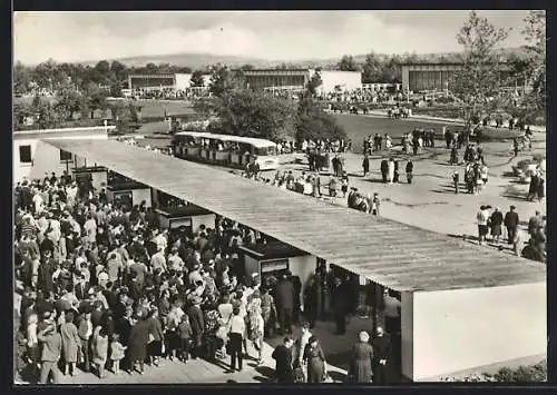 AK Erfurt, 1. Internationale Gartenbauausstellung - Haupteingang