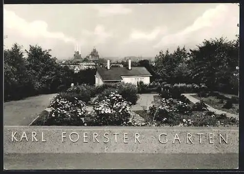 AK Erfurt, Internationale Gartenbau-Ausstellung, Staudensichtungsgarten Karl Foerster