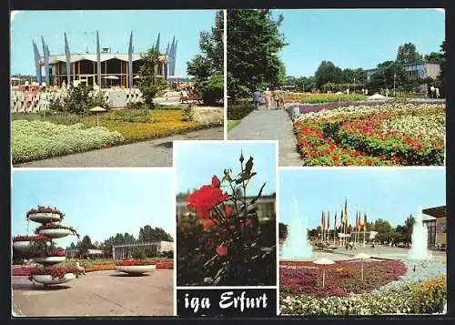 AK Erfurt, Internationale Gartenbauausstellung, Ansichten des Geländes