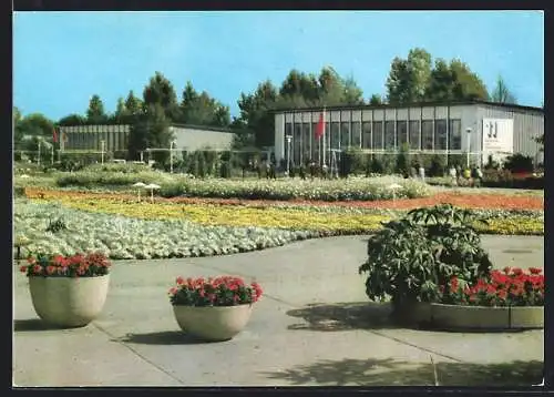 AK Erfurt, Internationale Gartenbauausstellung, Grosse Blumenwiese mit Ausstellungshallen