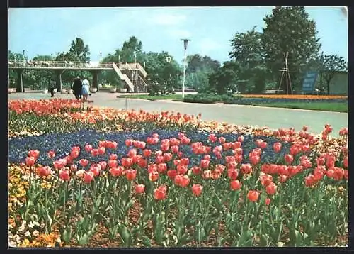 AK Erfurt, Deutsche Demokratische Republik, Internationale Gartenbauausstellung, Blick zur Rendezvousbrücke