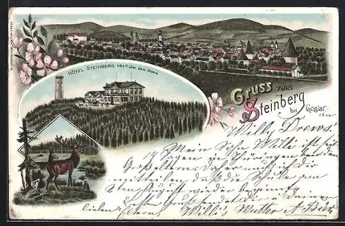 Lithographie Steinberg bei Goslar, Hotel Steinberg und Ortsansicht aus der Vogelschau