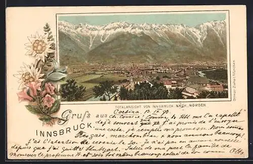 Vorläufer-Lithographie Innsbruck, 1893, Totalansicht nach Norden, Edelweiss-Passepartout