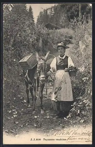 AK Vaud, Paysanne vaudoise, Schweizerin mit Maultier