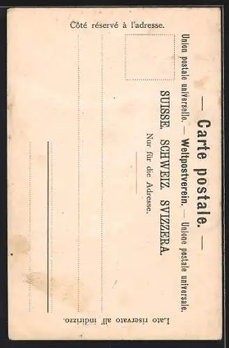 AK Appenzell, Schweizer Stickerin in Tracht