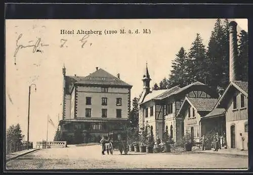 AK Altenberg, Platz am Hotel Altenberg, Pferdekutsche