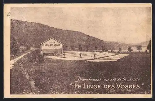 AK Gérardmer /Vosges, Blanchiment sur pré de la Société Le Linge des Vosges