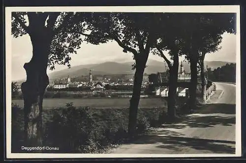 AK Deggendorf, Partie an der Donaubrücke