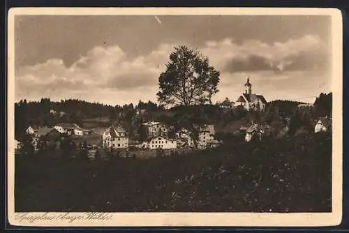AK Spiegelau /bayr. Wald, Ansicht mit Kirche