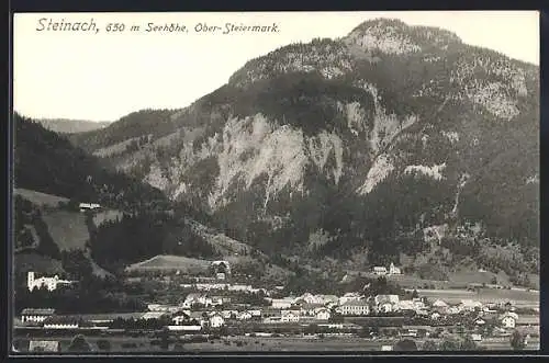 AK Steinach /Ober-Steiermark, Ortsansicht aus der Vogelschau