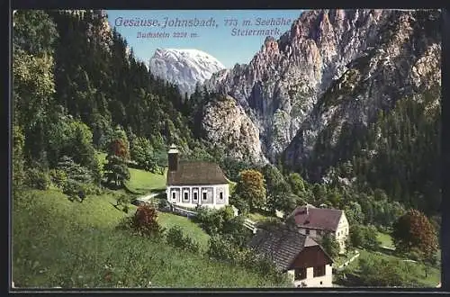 AK Johnsbach im Gesäuse, Ortspartie mit Kirche und Buchstein