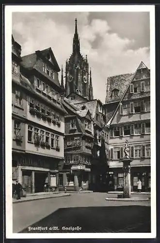 AK Alt-Frankfurt, Geschäfte in der Saalgasse