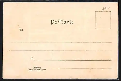 Lithographie Hameln, Rattenfänger Haus, Hochzeitshaus und Klütthurm