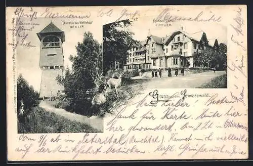 AK Mehliskopf /Schwarzwald, Aussichtsturm und Kurhaus Sand