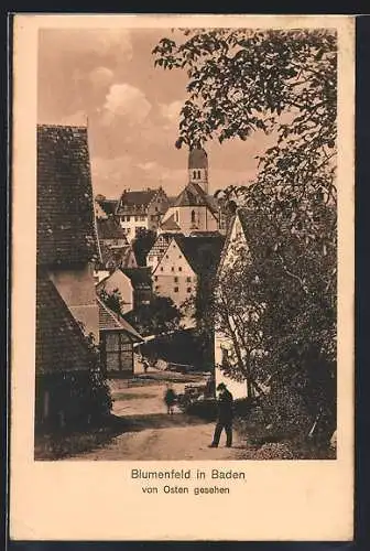 AK Blumenfeld in Baden, Ortsansicht von Osten mit Strasse