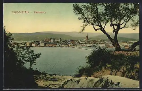 AK Capodistria, Panorama