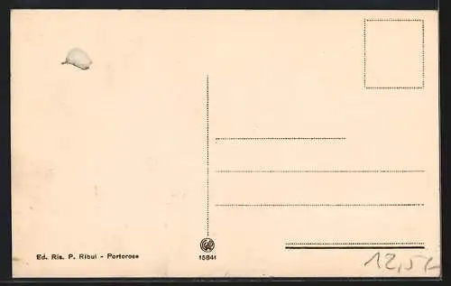 AK Portorose, Panorama