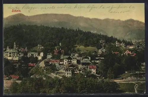 AK Sinaia, Ortsansicht aus der Vogelschau