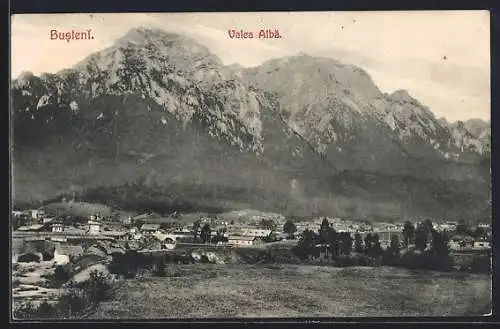 AK Busteni, Valea Alba