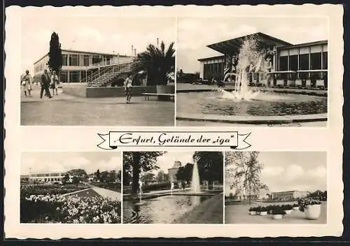 AK Erfurt, I. Internationale Gartenbauausstellung 1961m Eingang, Springbrunnen und Beete