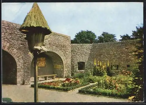 AK Erfurt, I. Internationale Gartenbauausstellung 1961, Burggarten in der Cyriaksburg