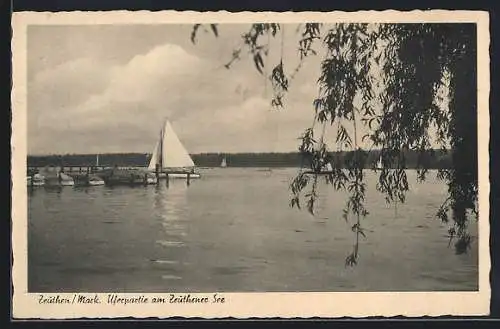 AK Zeuthen /Mark, Uferpartie am Zeuthener See