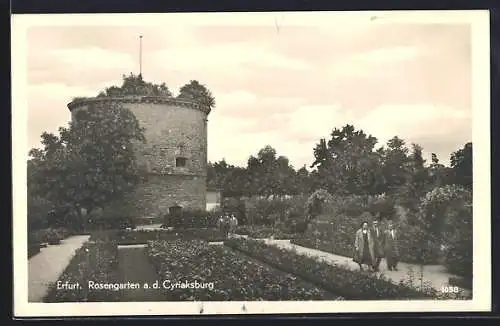 AK Erfurt, Der Rosengarten a. d. Cyriaksburg