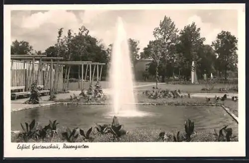 AK Erfurt, Gartenschau mit Rosengarten