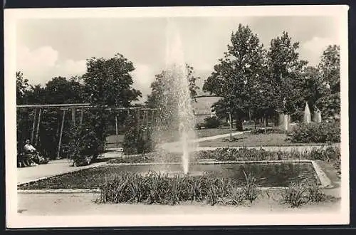 AK Erfurt, Springbrunnen im Kulturpark