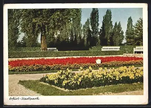 AK Erfurt, Blumenbeete im Stadtpark