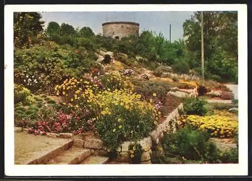 AK Erfurt, Steingarten mit Aussichtsturm