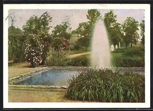 AK Erfurt, Springbrunnen am Rosengarten