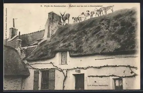 AK Foret de Rambouillet, Hallali sur un toit à Gambaiseuil, Hirsch und Meute auf einem Dachfirst