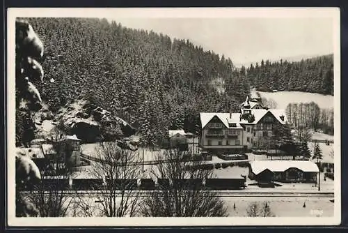 AK Hölle i. Frankenwald /Marxgrün, Hotel und Pension König David im Schnee, Neujahrsgruss