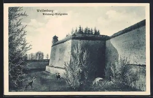 AK Weissenburg i. Bay., am Wallgraben der Wülzburg